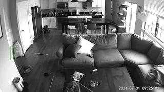 Police release surveillance video of apartment theft in northwest Columbus
