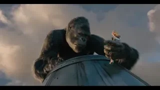 Andy Panda - King Kong (2005)