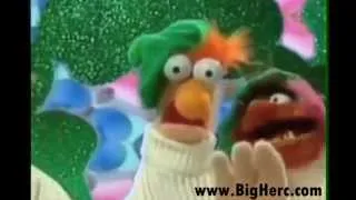 Beastie Boys | So What’cha Want | Muppets Version (REMIX)