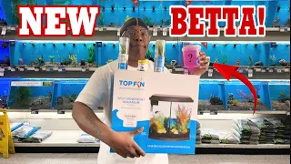 AMAZING New pet BETTA Fish Aquarium! @APIFishcare