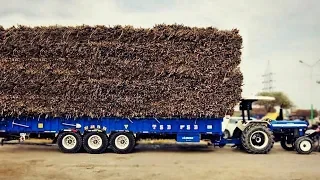 Extrem Heavy load ਗੱਨਾ pull || New Holland 3630 || Medium ਵਾਲਾ ਜਹਾਜ || Tractoran ਦਾ ਰਾਜਾ 3630 ?? ||