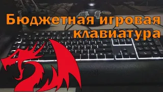 Обзор на БЮДЖЕТНУЮ игровую клавиатуру | Redragon Shiva