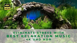 Aquarium 4k reef with water sound 10 Hours for Meditation Relaxation Sleeping #RELAXTIME