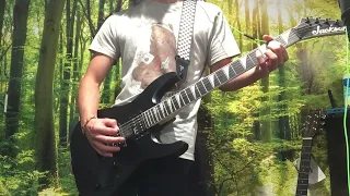 Pantera - Mouth for War rhythm guitar cover