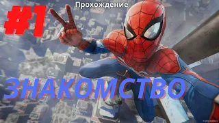 Человек паук на ПК | Marvel`s Spider-Man remastered PC 2022|  прохождение #1