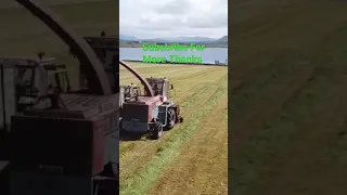 menglie sf6000 forage harvester fiat 110 90 silage old school subscribe for more and full video than