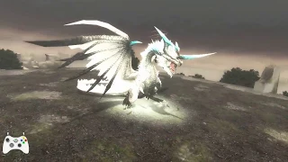 My first Encounter with Frontier White Fatalis