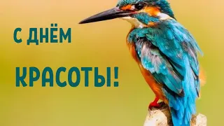 САМОЕ КРАСИВОЕ ПОЗДРАВЛЕНИЕ С ДНЕМ КРАСОТЫ