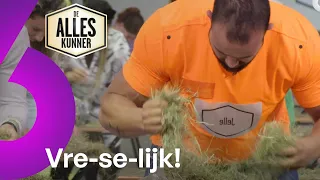 WAT EEN HEL: Zoeken naar een SPELD in een HOOIBERG! 😭 | De Alleskunner S4E2