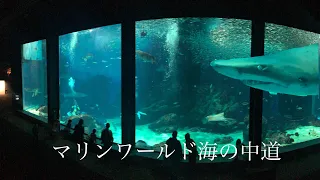 【水族館巡り】マリンワールド海の中道/Marine World Uminonakamichi