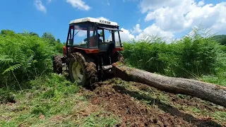 Zetor 6045 u teškim uslovima