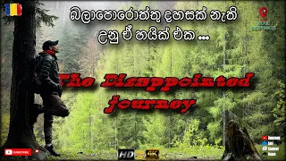 බලාපොරොත්තු නොවූ අවසානයක් සිදු උනු ඒ ගමන / The Disappointed Journey / călătoria dezamăgită