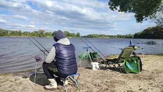 КЛЮЄ ЯК СКАЖЕНИЙ! Карасі на валеріанку.  Фідерна рибалка на Дніпрі 2024