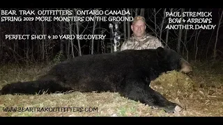 Spring Black Bear Archery hunt in Northern Ontario Canada @ Bear Trak's