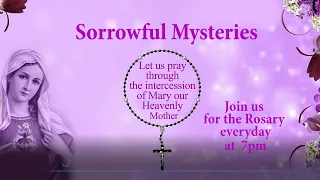 The Holy Rosary | Sorrowful Mysteries | 21 May, 2024