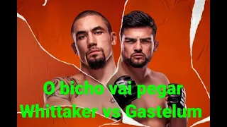 Palpites P/UFC Whittaker vs Gastelum