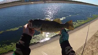 CA Aqueduct Fishing [topwater blowups]