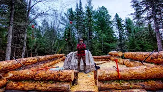 Building an Off Grid Log Cabin Alone in the Wilderness, Ep5, Wood Pegs