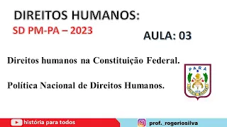 Direitos Humanos na Constituição e Política Nacional de Direitos Humanos - aula 03