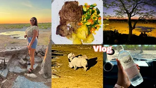 Anniversary Getaway| Halali Resort| Namibian Youtuber| Kaino