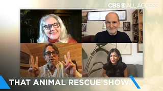 Richard Linklater, Bill Guttentag & Nayeema Raza on That Animal Rescue Show