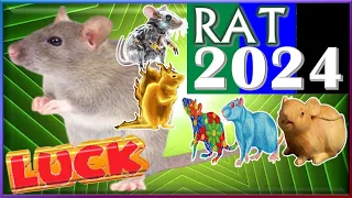 Rat Horoscope 2024 | Luck | Born 2020, 2008, 1996, 1984, 1972, 1960, 1948, 1936