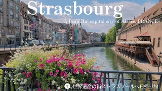 UNESCO World Heritage City of Strasbourg | Alsace | Cathedral | Souvenir | Sweets | Little France