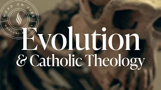 Evolution and Catholic Theology