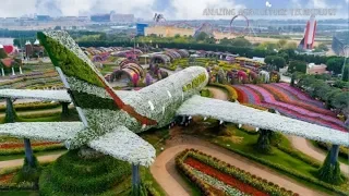 Dubai Miracle Garden #2024!