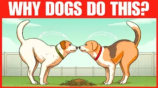 10 Strange Dog Behaviors Explained - I Never Knew This!