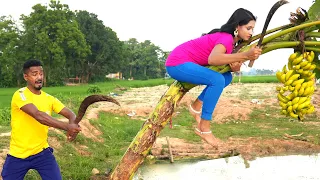 Must Watch New Funniest Comedy video 2021 amazing comedy video 2021 Episode 135 By Maha Fun TV