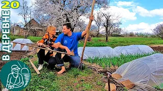 🥕 Первые посадки семян в открытый грунт весной 🏡 Жизнь Гордеевых в деревне - Влог 20