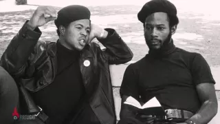 Kickstarter   The Black Panthers