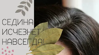 Don't thank me! In just 4 minutes, get rid of gray hair forever! Recipe from gray hair