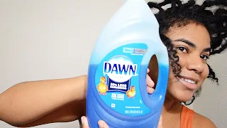 Washing Locs with Dawn Dish Soap | Super Deep Clean!