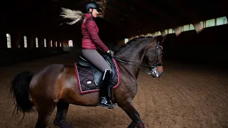 ~ Equestrian Sport ~ Dressage ~ Конный спорт ~ Выездка  ~ Never Be Like You ~