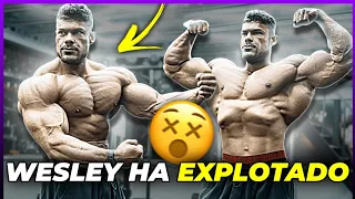 WESLEY Vissers ha CRECIDO DEMASIADO 😵 ¿Dará la sorpresa en el Olympia?