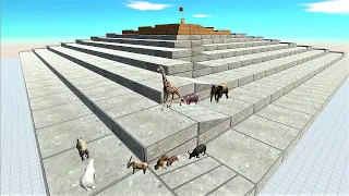 All animal speed race. Climb on the pyramid course! | Animal Revolt Battle Simulator