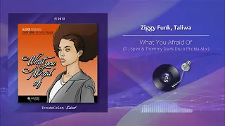 Ziggy Funk, Taliwa - What You Afraid Of (DJ Spen & Thommy Davis Disco Phobia Mix) |[ House ] 2012