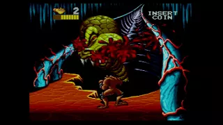 Arcade Battletoads (Pimple, hardest settings) NO MISS speed run in 38:53