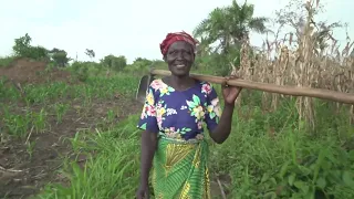 Uganda: Increasing employment opportunities in agriculture