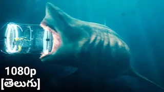 Megalodon vs Shark Cage Scene - The Meg (2018) (Telugu scene) [Classic Scenes]