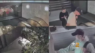Video Shows Deadly Attack On Homeless Man In Downtown LA