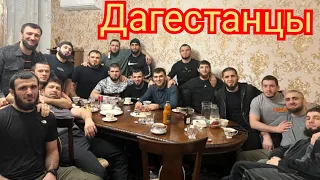 Хабиб Дагестанская Чанда: Осторожно Махачев Умар Нурмагомедов наша жизнь борьба - Акира трусишка 🦁