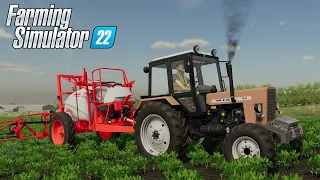 ▶️  Farming Simulator 2022 🌽🐄 | Карта "СПК КОЛХОЗ РАССВЕТ" #11