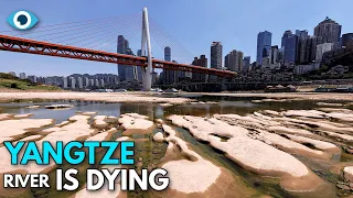 Extreme Drought in China Causes The Third Largest River To Dry | The Yangtze River