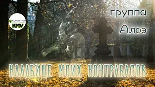 Кладбище моих контрабасов, клип, группа Алоэ | Cemetery of My Double Basses by Aloe Band