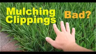 Does Mulching Clippings Cause Thatch Buildup In Lawns?