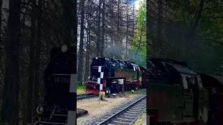 Train Einfahrt Harzbulle #harz #brocken #steam #train #germany #mountains  #deutschland #dampflok