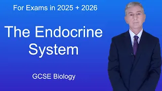 GCSE Biology Revision "The Endocrine System"